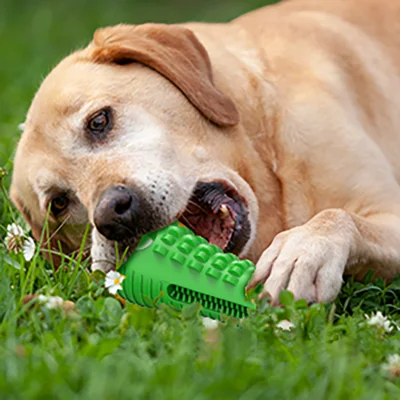 Umweltfreundliches Gummi-Hundespielzeug zum Kauen von verschüttetem Futter, bissfester Ball